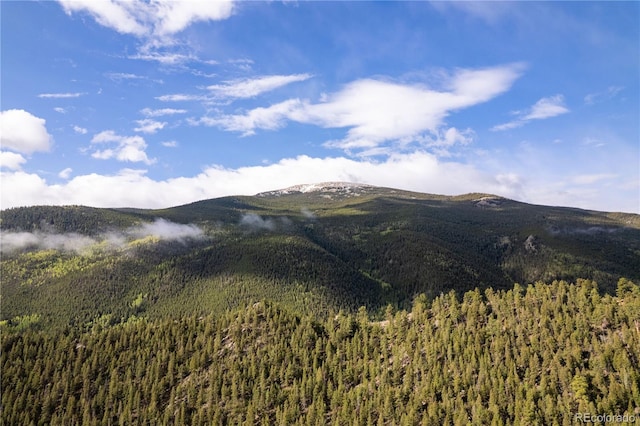 634 County Road 62, Grant, CO 80448