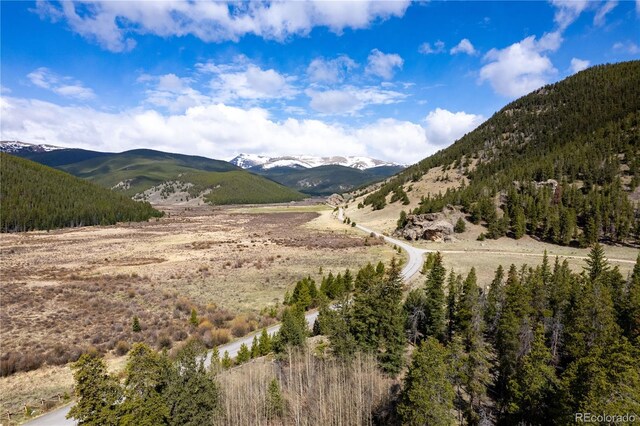 634 County Road 62, Grant, CO 80448