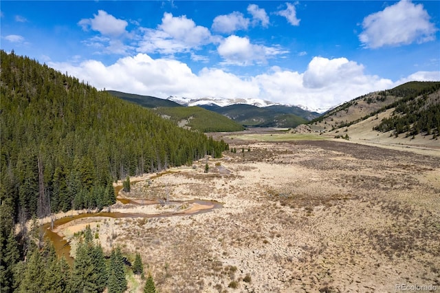 634 County Road 62, Grant, CO 80448