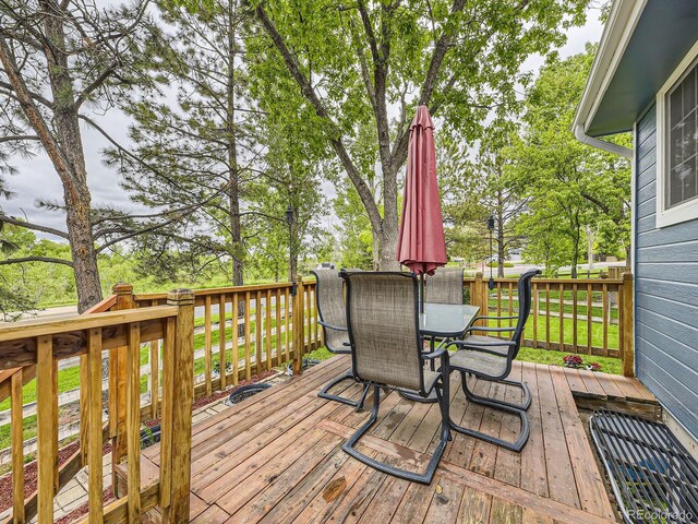 11523 Sandy Creek Ln, Parker, CO 80138 - photo 23