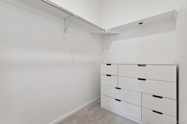 spacious closet featuring light colored carpet