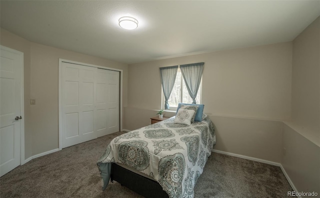 11030 Pine Meadows Rd, Colorado Springs, CO 80908 - bedroom with carpet flooring and a closet