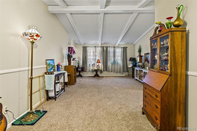 7260 Otis Ct, Arvada, CO 80003 - living area with carpet floors