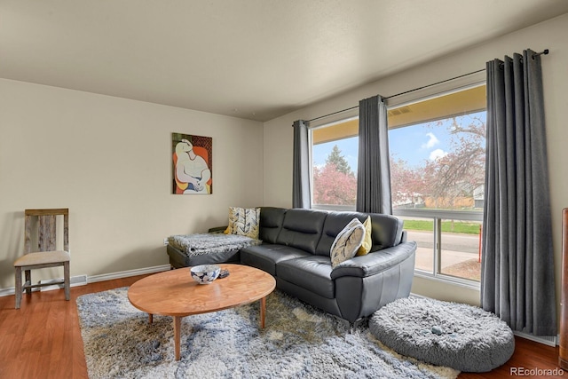 living room featuring baseboards and wood finished floors