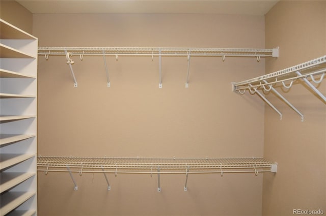 4746 Raven Run, Broomfield, CO 80023 - view of spacious closet