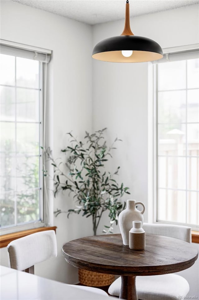 2040 S Xenia Way, Denver, CO 80231 - dining room with plenty of natural light