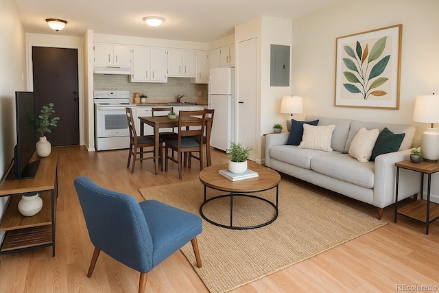 1302 S Parker Rd Unit 134, Denver, CO 80231 - living area featuring electric panel and light wood finished floors