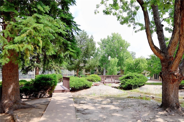 1302 S Parker Rd Unit 134, Denver, CO 80231 - surrounding community