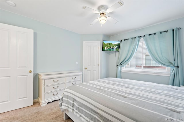 3748 Oakwood Dr, Longmont, CO 80503 - photo 21