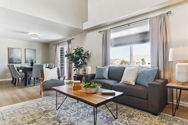 living room with light hardwood / wood-style flooring