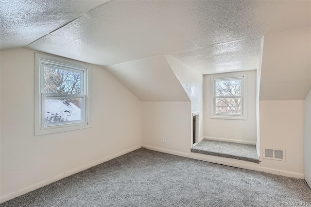 additional living space with carpet flooring, a wealth of natural light, and a textured ceiling