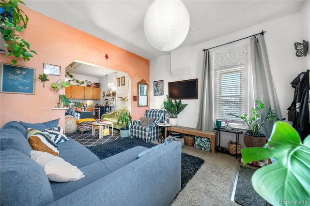 741 Mariposa St, Denver, CO 80204 - living room with carpet floors
