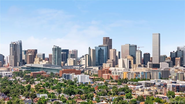 741 Mariposa St, Denver, CO 80204 - view of city skyline
