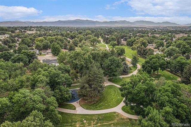 11081 W 71st Pl, Arvada, CO 80004 - photo 28