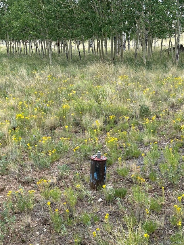 2130 Pitchfork Rd, Hartsel, CO 80449 - photo 15