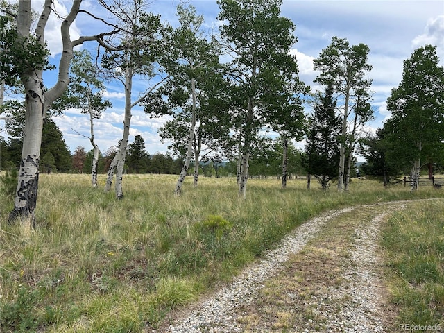 2130 Pitchfork Rd, Hartsel, CO 80449 - photo 16