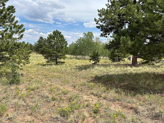2130 Pitchfork Rd, Hartsel, CO 80449 - photo 18
