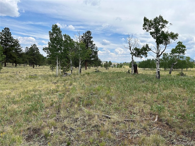 2130 Pitchfork Rd, Hartsel, CO 80449 - photo 20