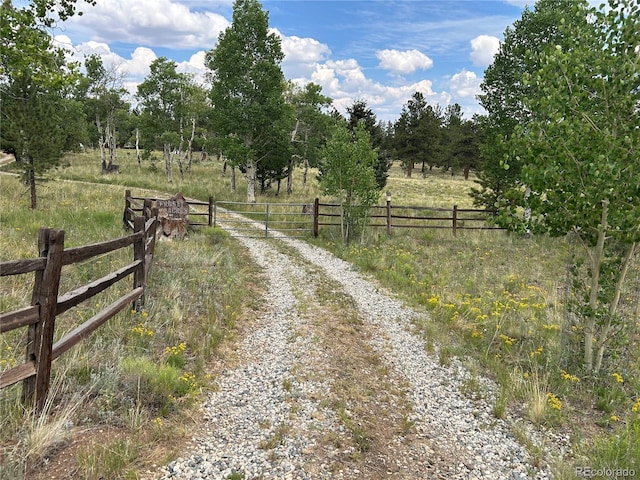 2130 Pitchfork Rd, Hartsel, CO 80449 - photo 24