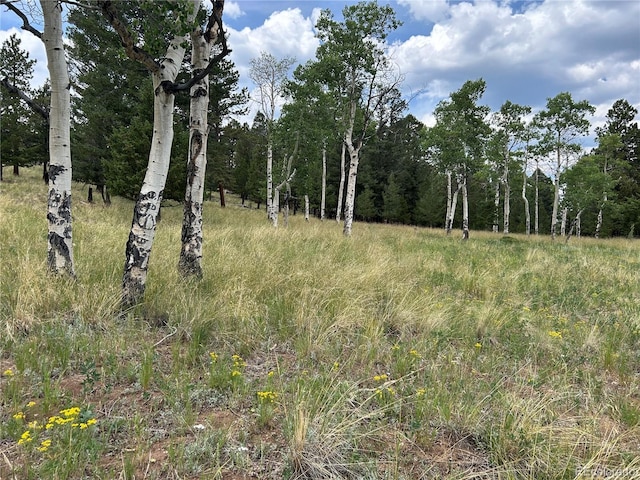 2130 Pitchfork Rd, Hartsel, CO 80449 - photo 26