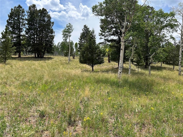 2130 Pitchfork Rd, Hartsel, CO 80449 - photo 27