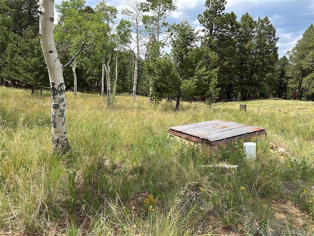 2130 Pitchfork Rd, Hartsel, CO 80449 - photo 29