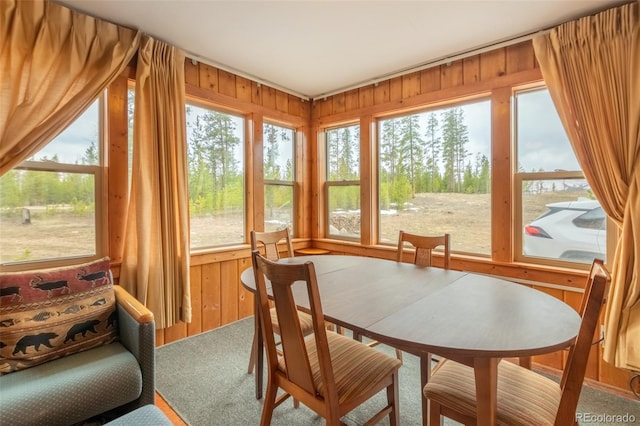 99 Gcr 490, Grand Lake, CO 80447 - photo 6