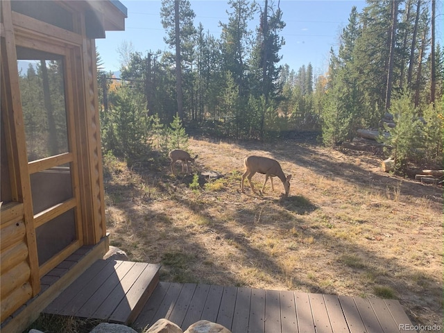 99 Gcr 490, Grand Lake, CO 80447 - photo 17