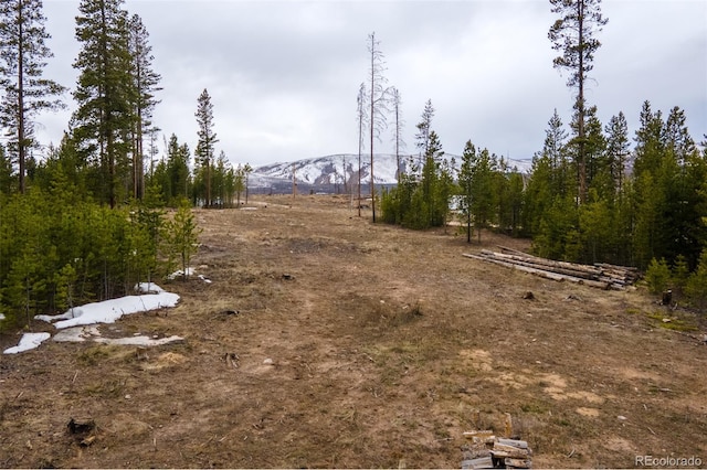 99 Gcr 490, Grand Lake, CO 80447 - photo 24