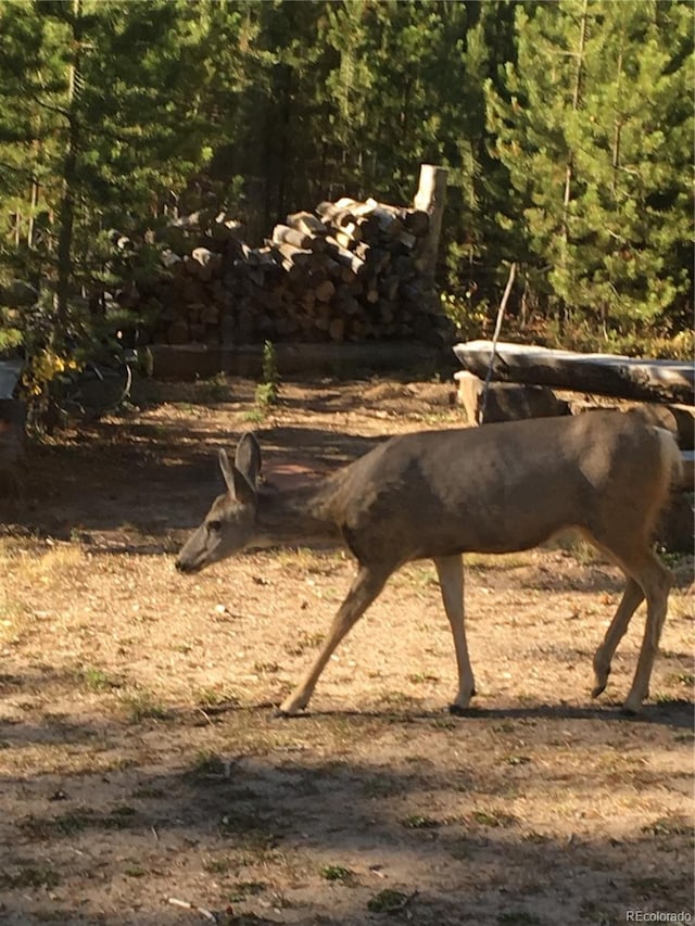 99 Gcr 490, Grand Lake, CO 80447 - photo 26