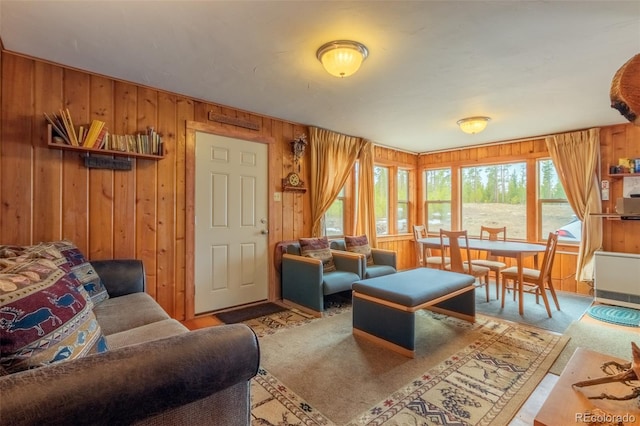 99 Gcr 490, Grand Lake, CO 80447 - photo 9