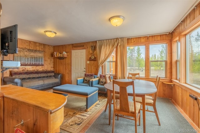 99 Gcr 490, Grand Lake, CO 80447 - photo 15