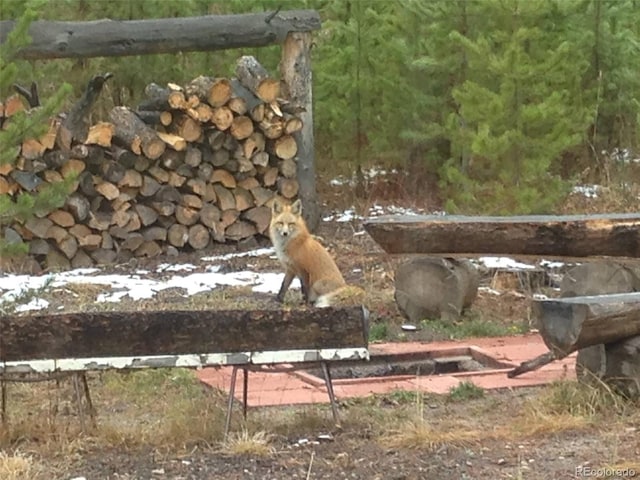 99 Gcr 490, Grand Lake, CO 80447 - photo 19