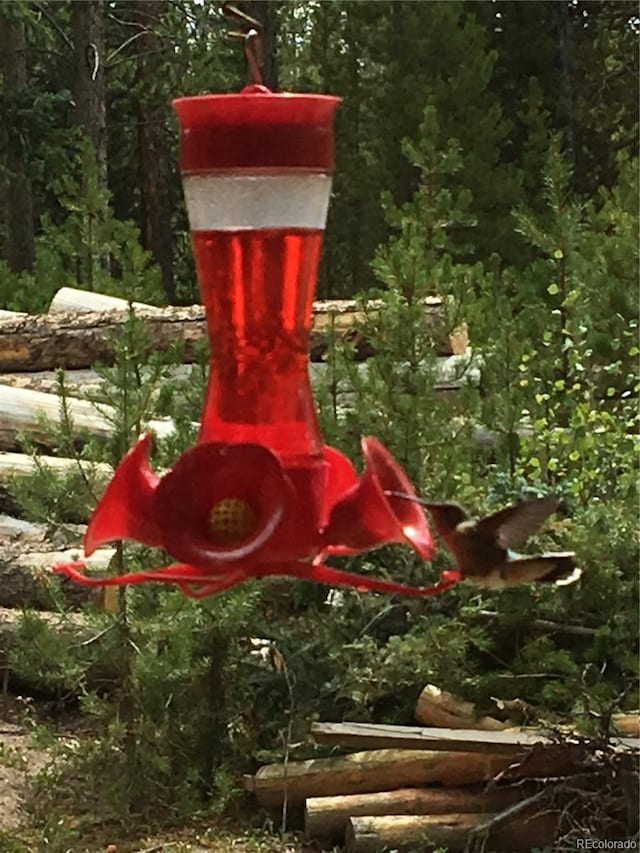 99 Gcr 490, Grand Lake, CO 80447 - photo 27