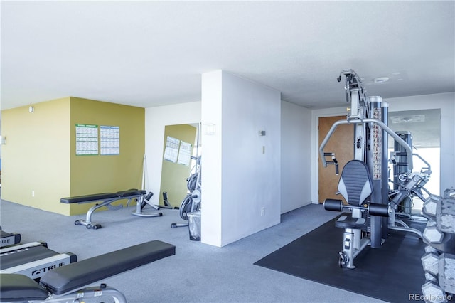 exercise room featuring carpet