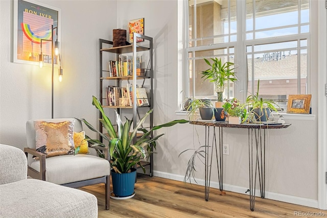 sitting room with baseboards and wood finished floors