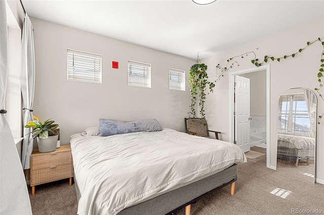carpeted bedroom featuring connected bathroom and multiple windows