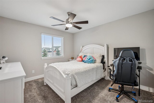 5582 Janga Dr, Colorado Springs, CO 80924 - photo 22
