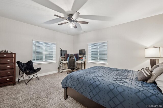 5582 Janga Dr, Colorado Springs, CO 80924 - photo 32