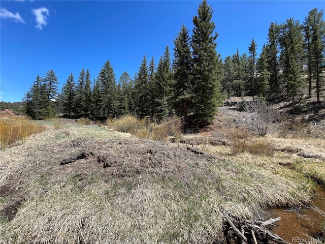 00 Wildhorn Rd, Florissant, CO 80816 - photo 1