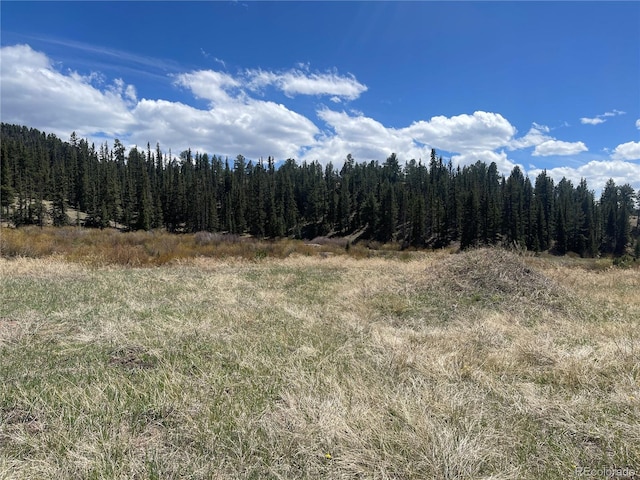 00 Wildhorn Rd, Florissant, CO 80816 - photo 3