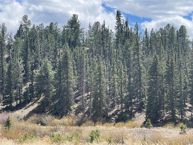 00 Wildhorn Rd, Florissant, CO 80816 - photo 4