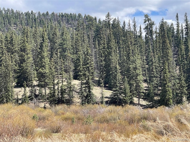 00 Wildhorn Rd, Florissant, CO 80816 - photo 5