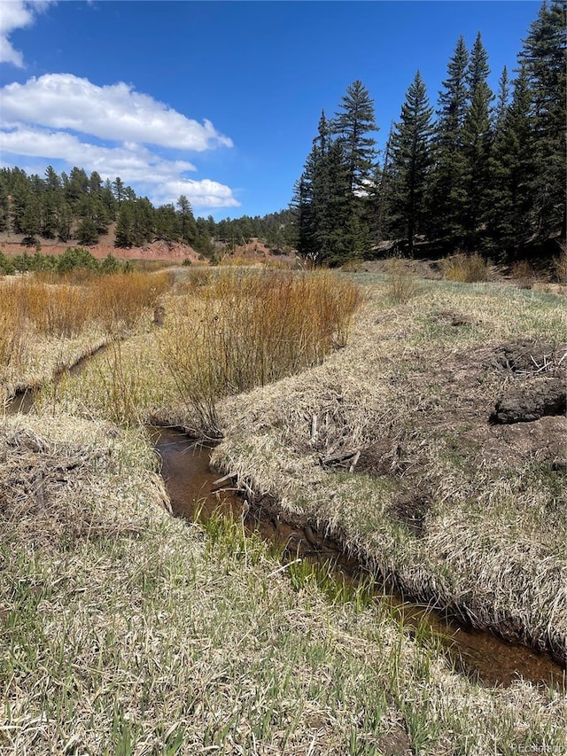 00 Wildhorn Rd, Florissant, CO 80816 - photo 6