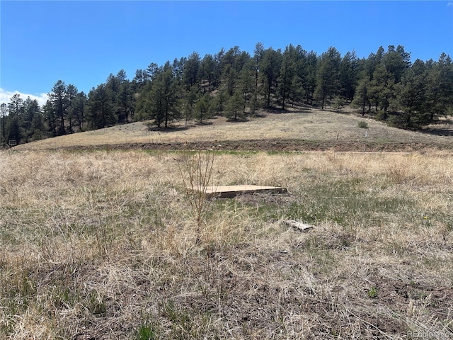 00 Wildhorn Rd, Florissant, CO 80816 - photo 7