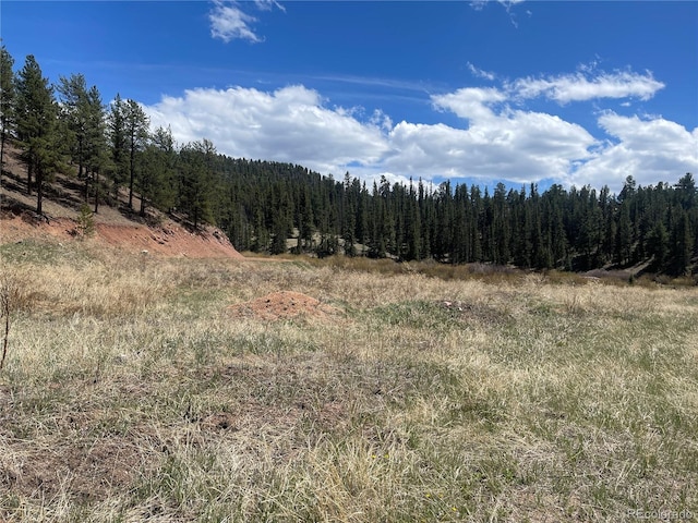 00 Wildhorn Rd, Florissant, CO 80816 - photo 8