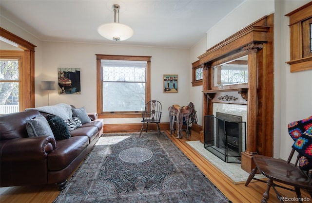 living room featuring wood finished floors, a fireplace, and baseboards