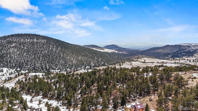view of mountain backdrop featuring a heavily wooded area
