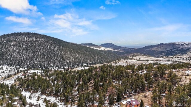 315 S 5th St, Victor, CO 80860 - photo 24