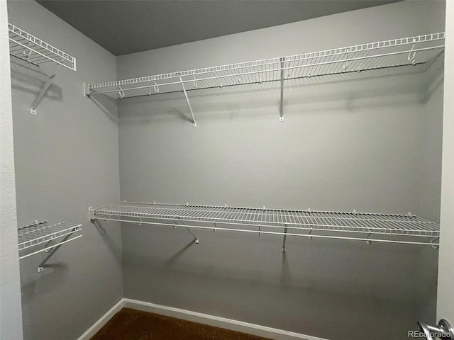 view of walk in closet